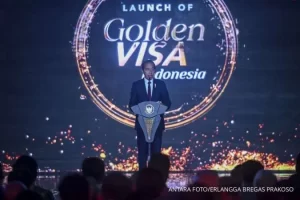 Salah satu jenis golden visa Indonesia adalah Golden Visa untuk Pendirian Perusahaan