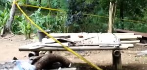 Bundir Anak Ngada seharunya menyadarkan pemerintah tentang pentingnya interoperabilitas data untuk layanan publik.